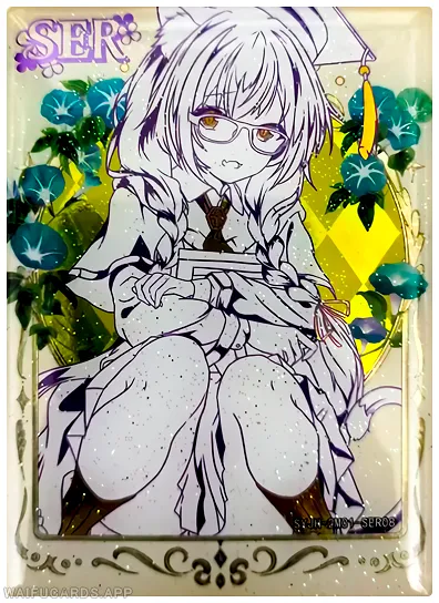 SER-08 SYJH-2M01 (Неизвестно)